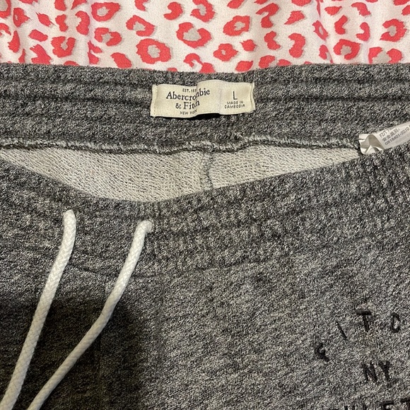 Abercrombie & Fitch Gray Jogger Sweatpants - Picture 3 of 4